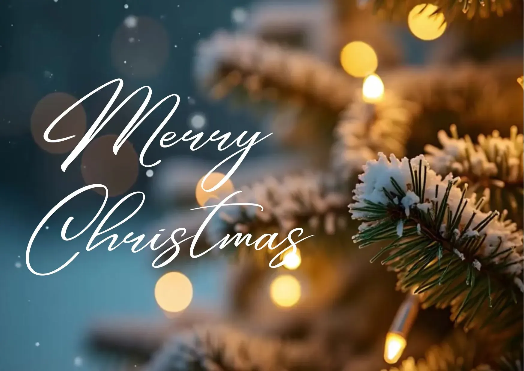 Season’s Greetings