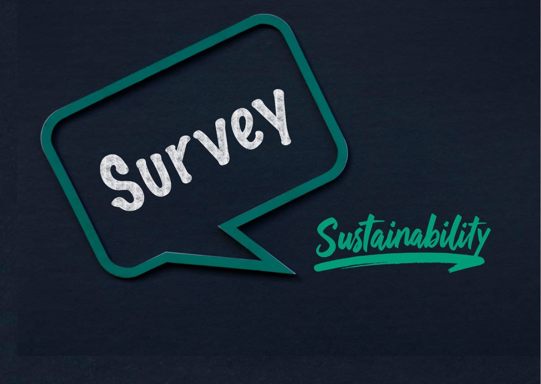 Survey_sustainability_1