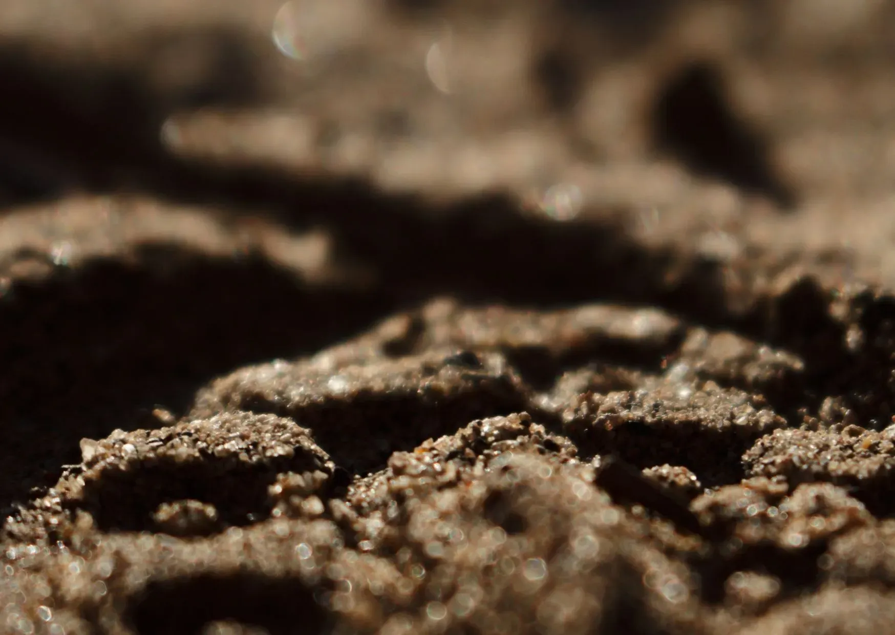 Ashes to Ashes – Compost to Compost?