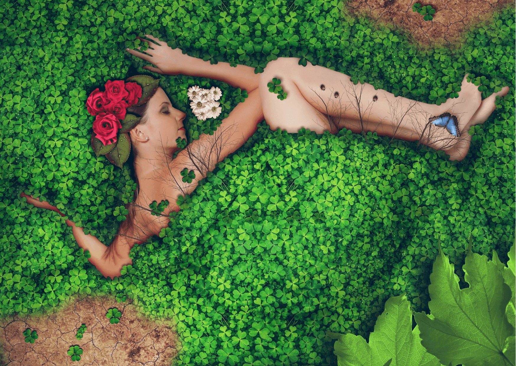 www_sustainability_2_2024