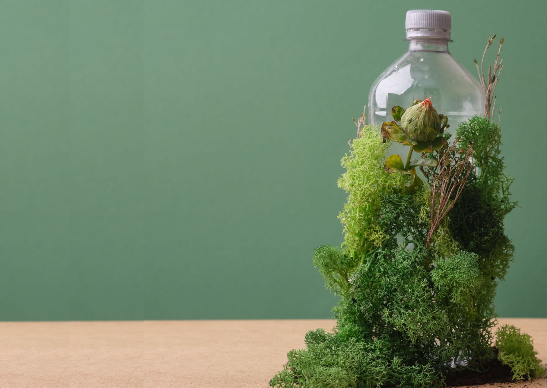 www_sustainability_ecodesign