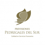 Asistencia Pedregales del Sur