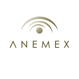 ANEMEX - Asociación Necrológica Mexicana S.A. de C.V.