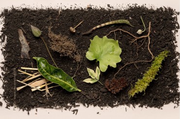 Sustainability Trends