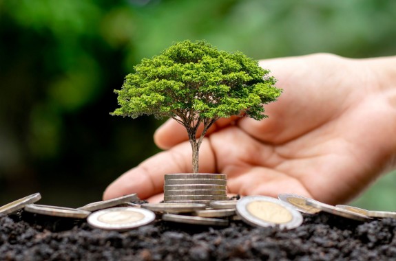 Towards Sustainable Economic and Financial Management