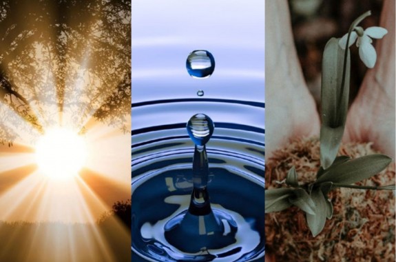 With care for the planet