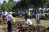 The 6th Grave Digging Competition in Hungary