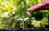 Embracing Sustainability in the Funeral Industry