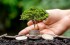 Towards Sustainable Economic and Financial Management